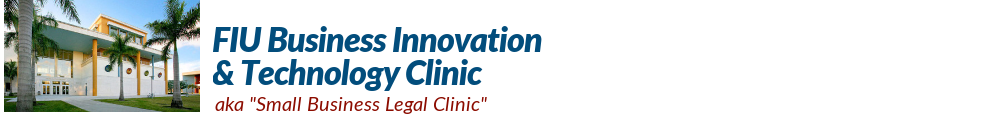 Business Information & Technology Clinic